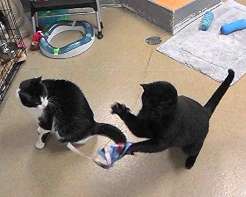 Ribbon, Leather and Fur Attachment Cat Toys - Fit Wildcat and Popular Bird and Catcher Type Wands/Poles (Ribbons)