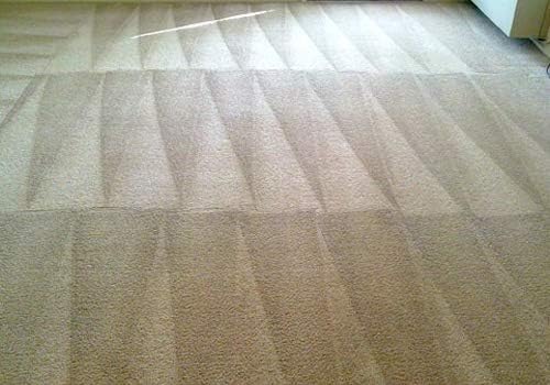 Capture Pet Stain & Odor Neutralizer - Pet Stain Remover for Carpet, Wood, Leather, Rug, Bed, Couch, Car, Upholstery, Clothes, Curtains, Wall, Floor, Concrete - 32oz Portable Spray Bottle