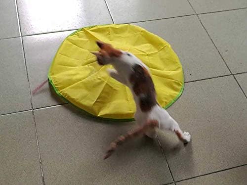 Electronic Interactive Cat Toys w/Remote Gen 5 - Cat's Gym Running Exercise Tools, Durable w/Times and Rechargeable Lithium Battery