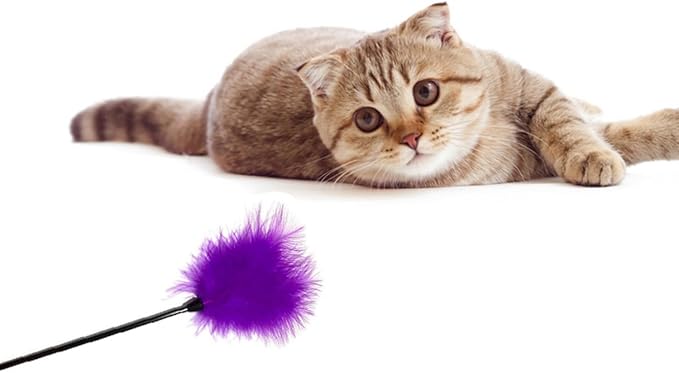 Dzrige Interactive Cat Toys Teaser Wand Black Long Sticks with Purple Soft Plush Tips Funny Pet Feather Supplies for Indoor Bored Cat and Kitten Play Training Interactive Toys