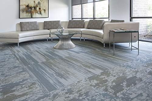 Capture Pet Stain & Odor Neutralizer - Pet Stain Remover for Carpet, Wood, Leather, Rug, Bed, Couch, Car, Upholstery, Clothes, Curtains, Wall, Floor, Concrete - 32oz Portable Spray Bottle (2 Pack)