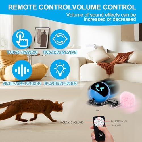 Interactive Cat Toy Ball,Simulated Hunting Remote Control Cat Toy,Electric Cat Automatic Ball Fast Rolling in Pouch, Motion Activate Chirping Hide and Seek Cat Toy (Blue Ball)