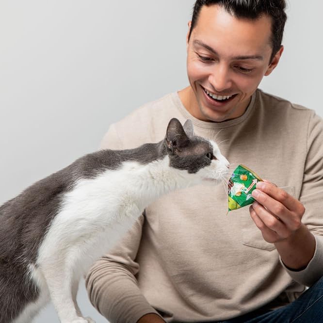 INABA Churu Fun Bites for Cats, Soft & Chewy Baked Chicken Wrapped Filled Cat Treats with Taurine, 0.42 Ounces Each Tetra, 3 Tetras, Chicken Recipe Wraps Chicken with Pumpkin Recipe