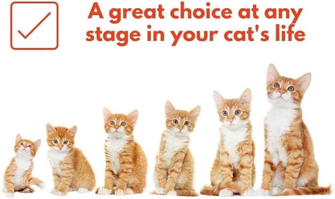 Bench & Field Holistic Natural Premium Adult Dry Cat Food, Chicken Meal and Brown Rice Recipe 3 lb Bags (Pack of 3)