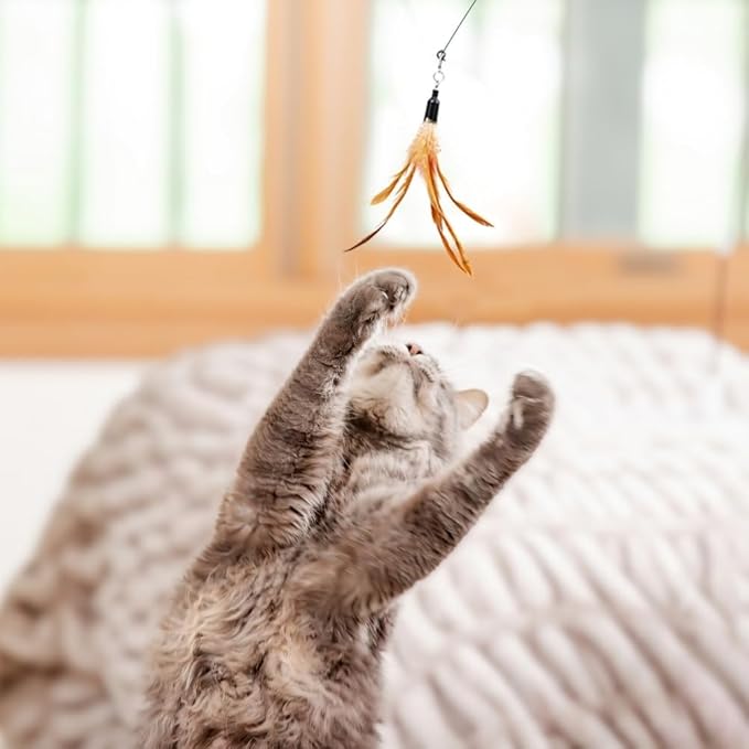 2 In 1 Cat Wand Toys For Indoor Cats Solid Round Base Cat Toys For Bored Indoor Adult Cats Self Play Cat Toys Cat Feather Toy Bird Feather Cat Toy Wand For High Energy Cat Toys Cat Teaser Wand Toy