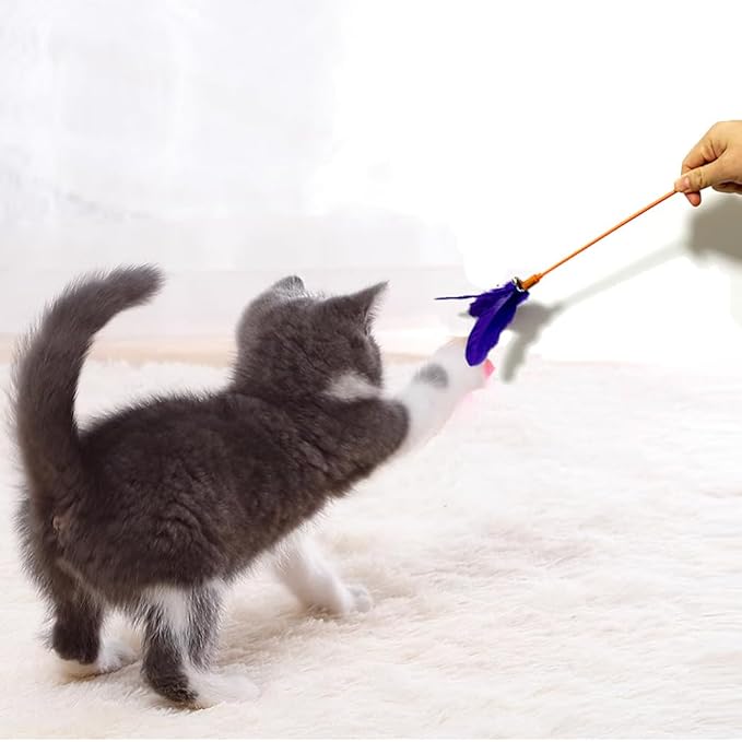 Cat Wands, 6 PCS Colorful Feather Cat Teaser Toys Interactive Cat Feathers Wand with Bell for Cat and Kitten
