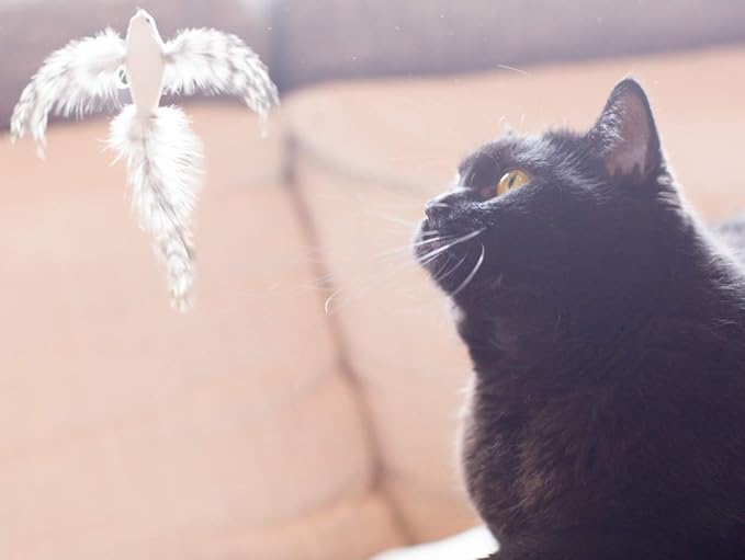 Minibees Cat Toy Feather Teaser, Changeable Toys(3pcs), Exerciser Wand Stick for Pet Cat and Kitten with Bell, Interact, Training,Changeable