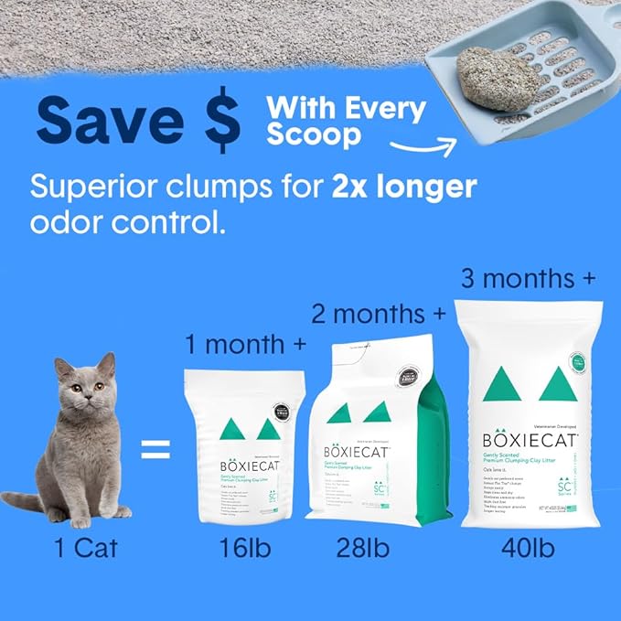 Boxie® Gently Scented 30 Day Natural Odor Control Cat Litter, 32lbs Total Clumping Clay Kitty Litter (2 Pack of 16lb Bags)