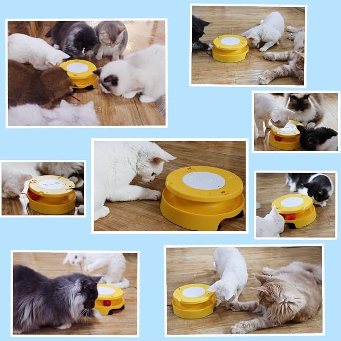 LASOCUHOO Cat Toys, Interactive Cat Toys for Indoor Cats, Automatic Cat String Toy for Cat Exercise, Fit for Most Cats (Blue)