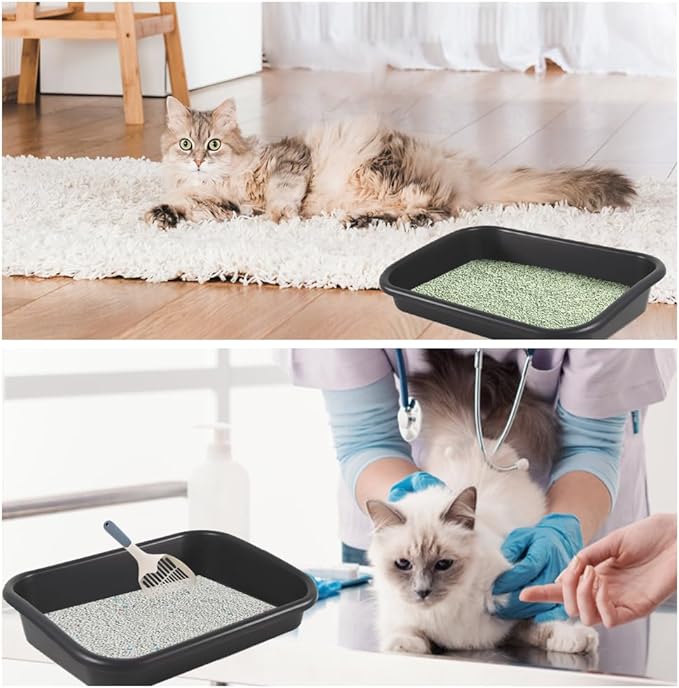 3 Pcs Low Entry Senior Cat Litter Box with Scoop, Extra Large Pet Litter Box Low Entry Open Top Cat Litter Box for Kitten Frail Handicap Disabled Older Elderly Cats