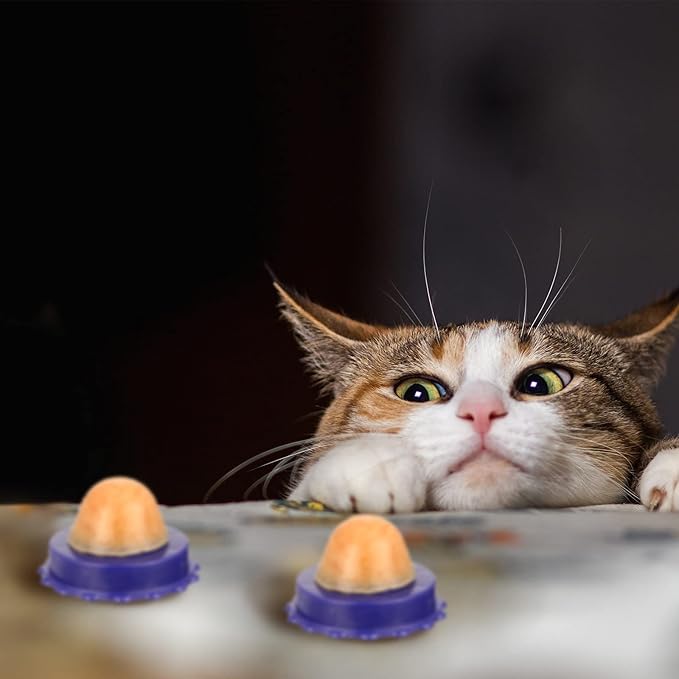 Nuanchu 18 Pieces Cat Catnip Ball, Kitten Treats Snacks Edible Ball, Catnip Wall Balls Lickable Sugar Ball, Interactive Sweet Snack Candy Toys for Cat Kitten