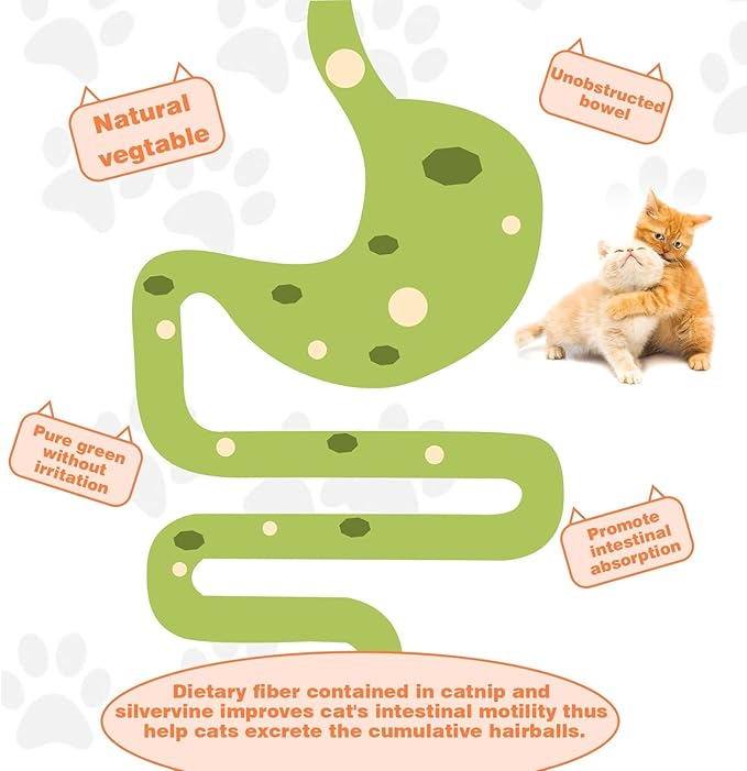 Catnip Ball for Cats Wall, 4 Pack Catnip Toys, Silvervine Balls, Edible Kitty Toys for Cats Lick, Safe Healthy Kitten Chew Toys, Teeth Cleaning Dental Cat Toys, Cat Wall Treats (White)