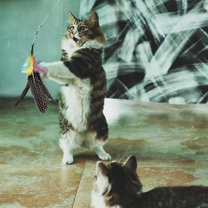 Handmade Natural Feather Cat Toy Dah Bird Refills - Interactive Cat and Kitten Toy - 6 Pack