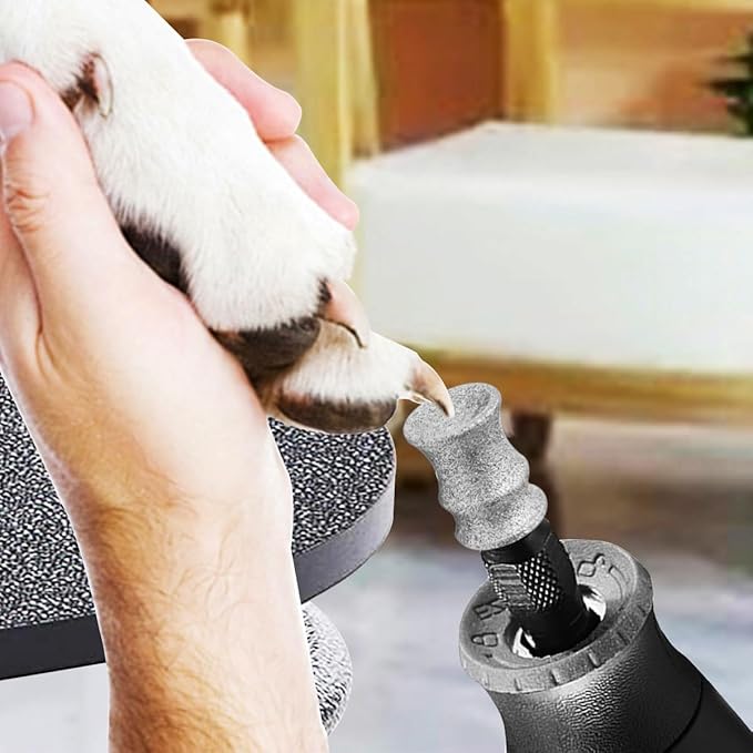 Diamond Dog Nail Grinder Attachment Bit for Dremel - 1/8" Rotary Nail Grinder Bit for Large Medium Small Dogs Nail Cares (B
