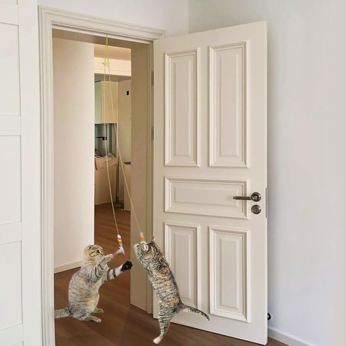 NUMINA 5 Pack Hanging Interactive Cat Feather Toys, Retractable Teaser Toy for Cat Kitten Play Chase Exercise, Interactive Cat Toys for Indoor Cats, Kitten Mental Exercise Hanging Cat Toy with Bel