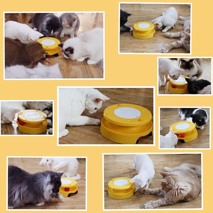 LASOCUHOO Cat Toys, Interactive Cat Toys for Bored Indoor Cats, Automatic Cat String Toy for Cat Exercise, Fit for Most Cats