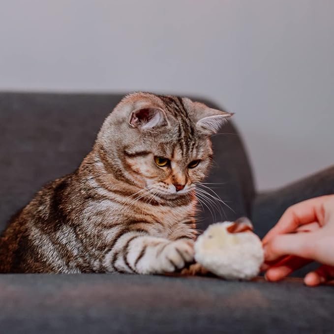 Nobby Plush Mouse with Leather Tail