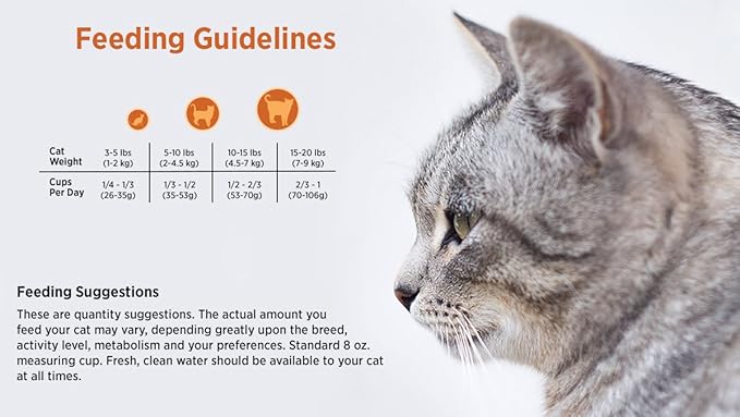 Blackwood Pet Food Indoor Formula Cat Food, Chicken Meal & Brown Rice Recipe 4 lb, 1 Count