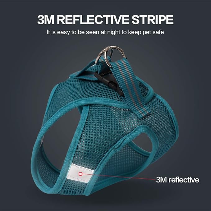 Heywean Cat Harness and Leash - Ultra Light Escape Proof Kitten Collar Cat Walking Jacket with Running Cushioning Soft and Comfortable Suitable for Puppies Rabbits (S, Turquoise)