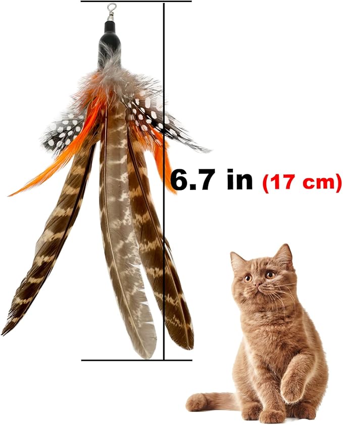 Cat Feather Toys Refills Cat Wand Replacement, 6 PCS Handmade Natural Da Bird Feathers Refill, Cat Toy Feather Replacement for Indoor Cats (B)