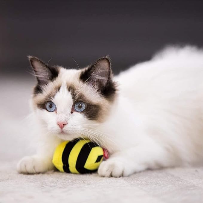 Gigwi Interactive Squeaking Cat Toy,Chirpy Bee Sound Toy for Cats,Melody Chaser Play Squeak Kitten Toy for Boredom