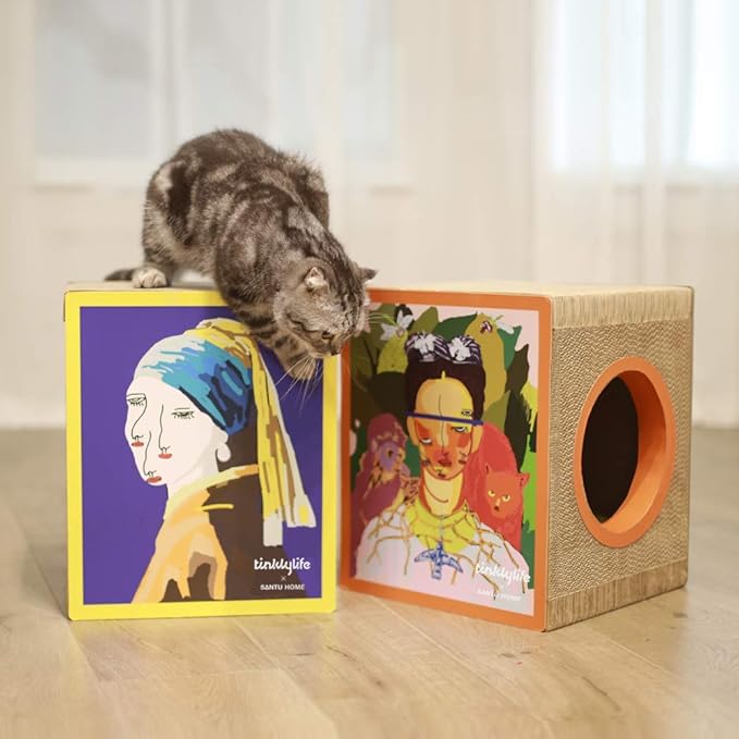 Cat Condo Scratcher Cardboard, Girl with a Pearl Earring Shape Adaptation Spoof Version Cat Scratching House Bed Furniture Protector, Pink