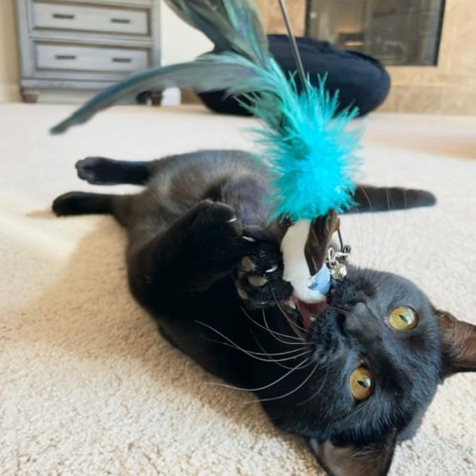 Cat Toys Set Cat Fishing Pole Toy Retractable Cat Wand Toy Suction Cup Cat Toys for Indoor Cats Door Hanging Cat Toy Cat String Toy Cat Teaser Wand Hanging Cat Toy Cat Feather Toy Cat Toy Wand Kitten