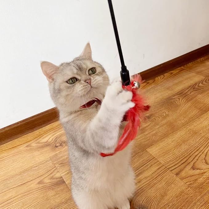 IUHKBH Cat Wand Toys, 6 PCS Interactive Cat Teaser Wand Cat Feather Toys with Bell for Indoor Cats, Kitties