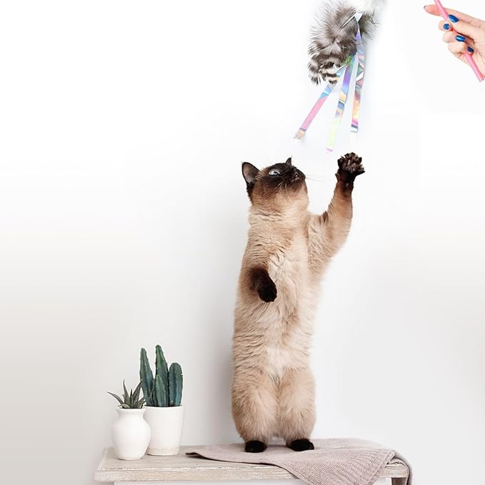 Cat Insect Feather Toys Replacement Cat Toy Wand Refills, 6 Pieces Natural Insect Cat Toy Feathers Refill, Interactive Cat Teaser Wand Attachments, with Bell