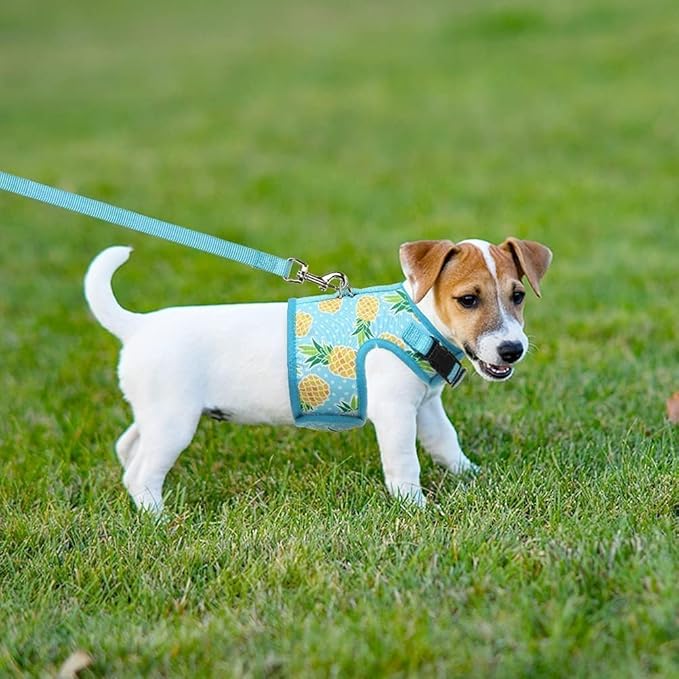 BINGPET Cat Harness - with Leash Included - Mesh Cat Dog Walking Harness Adjustable Harness for Kitties Puppy Harness Adjustable Cat Vest Harness Pineapple