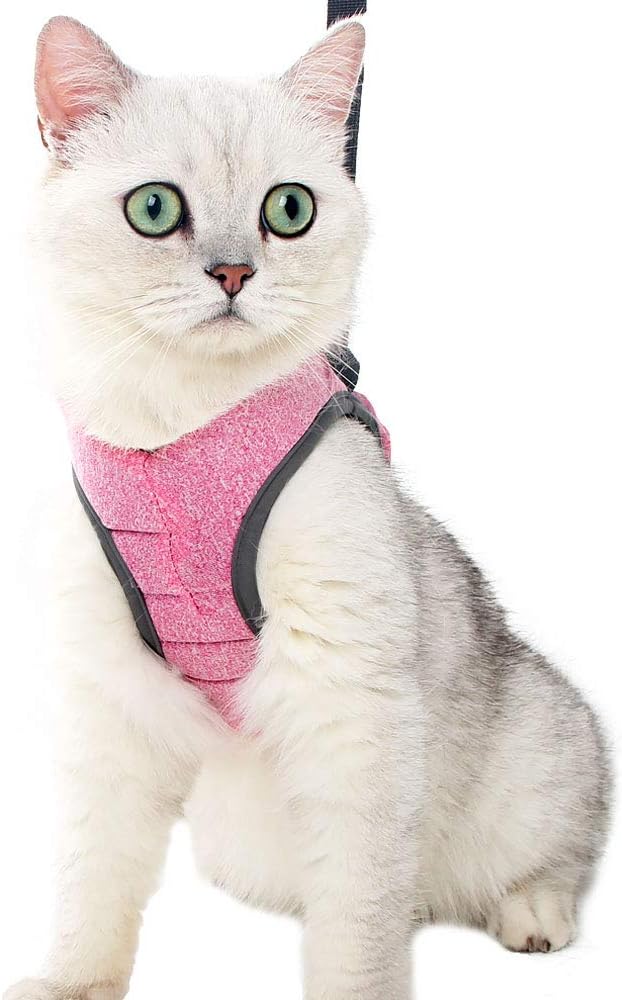 Heywean Cat Harness and Leash - Ultra Light Escape Proof Kitten Collar Cat Walking Jacket with Running Cushioning Soft and Comfortable Suitable for Puppies Rabbits (M, Pink)