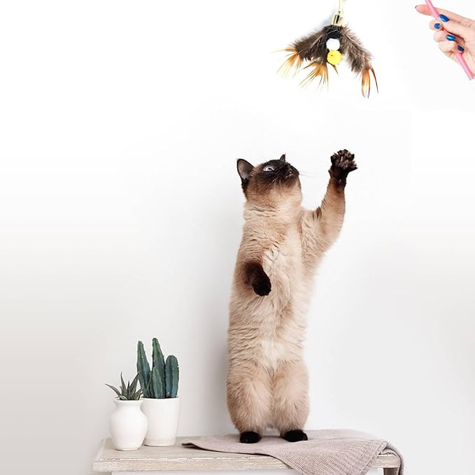Cat Insect Feather Toys Replacement Cat Toy Wand Refills, 6 Pieces Natural Insect Cat Toy Feathers Refill, Interactive Cat Teaser Wand Attachments, with Bell