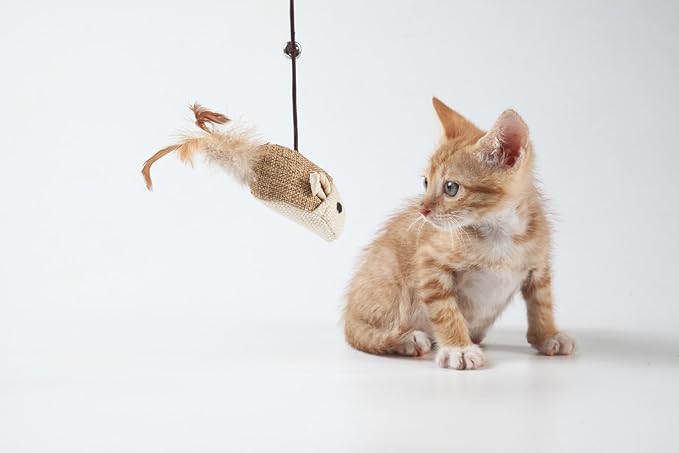 Cat Teaser Cat Kitten Toys Set Natural Sisal Wand Teasers with Mouse, Bell, Feather, Elastic String, and Sturdy Wood Rod
