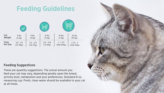 Blackwood Special Diet Cat Food, Grain Free, Duck Meal, Salmon Meal & Field Pea, 4Lb.