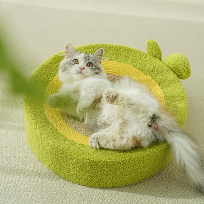 Fruit Cat Scratching Board,Sisal Cat Scratching Board,Orange Cat Litter,Fruit Coconut Cat Scratching Basin,Green Cat Bed,Watermelon Cat Scratching Board,Wear-Resistant Cat Cat Products (Avocado)