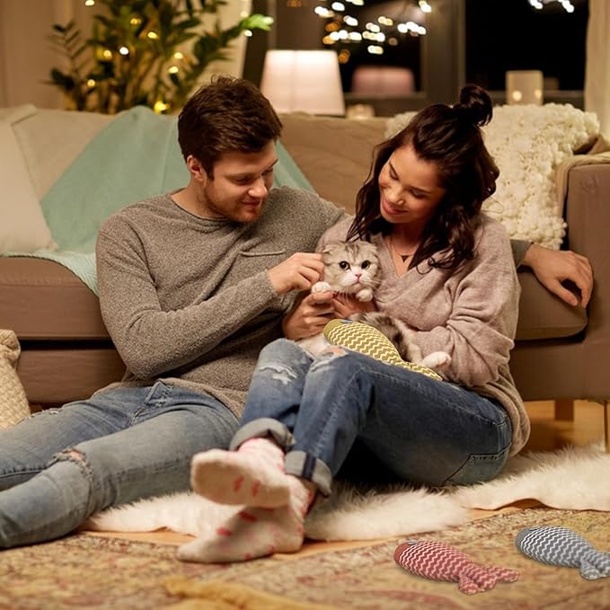 AccEncyc 3Pcs Cat Toys Fish Catnip Toys Interactive Cat Toy Cat Chew Toy Cat Pillow Toys Kitten Exercise Kicker Toys for Indoor Cats Kitty Kitten Catnip Exercise Toys Cat Gifts Kitty Toy