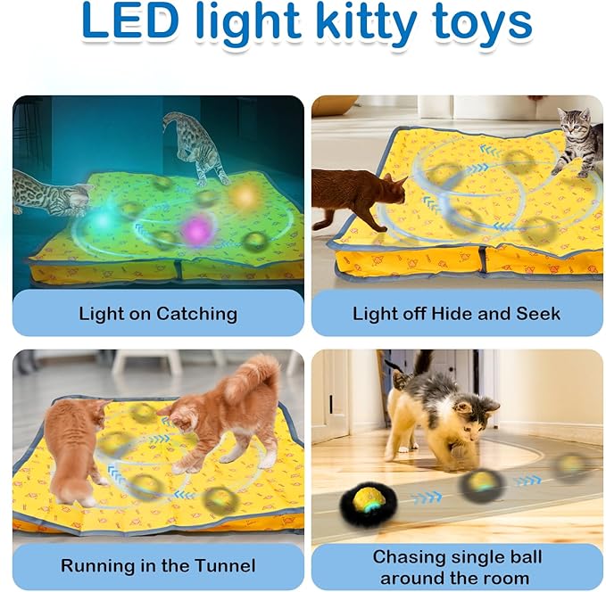 Interactive Cat Toys for Indoor Cats,Self Rolling Cat Ball in Play Mat,Automatic Motion Activated Moving Toy Hide and Seek Chase Game for Bored Cats,Real Chirp Birds,Rechargeable