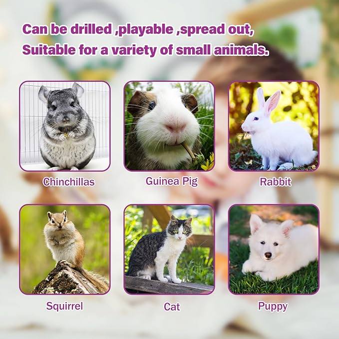 BWOGUE Bunny Tunnel Bed, 2-in-1 Collapsible Tunnel Tubes Toys with Removable Mat Hideout for Cats Kittens Rabbits Guinea Pigs Kitty