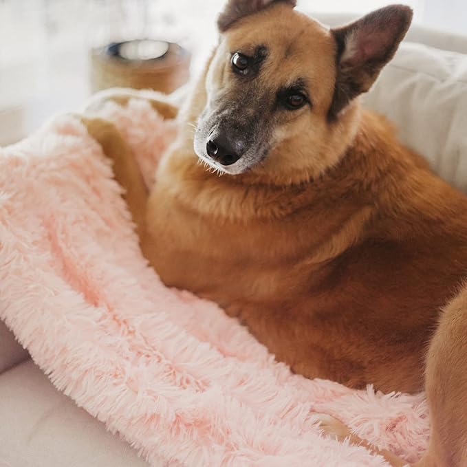 Best Friends by Sheri Bundle Set The Original Calming Shag Donut Cuddler Cat and Dog Bed + Pet Throw Blanket Cotton Candy Pink Large 36" x 36"