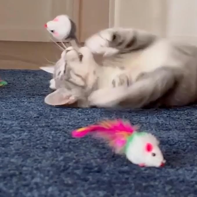 Smokey's Stash Faux Fur Cat Mice Toy 12 Per Pack Realistic Small Mouse with Rattle and Catnip Safe for Adult Cats and Kittens Multi Half Color Half White