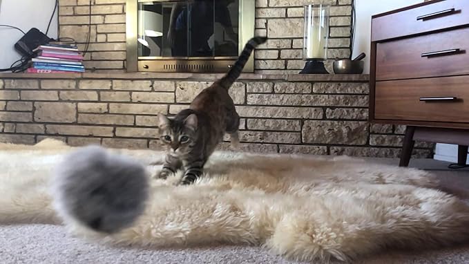 Natural Fur Pom Cat Wood Rod Teaser & Exerciser Wand for Cat & Kitten with Fluffy Fur Ball- Interactive Soft and Safe Feather-Like Real Fur Toy - Mouse Like Pelt Pom Assembled in The US