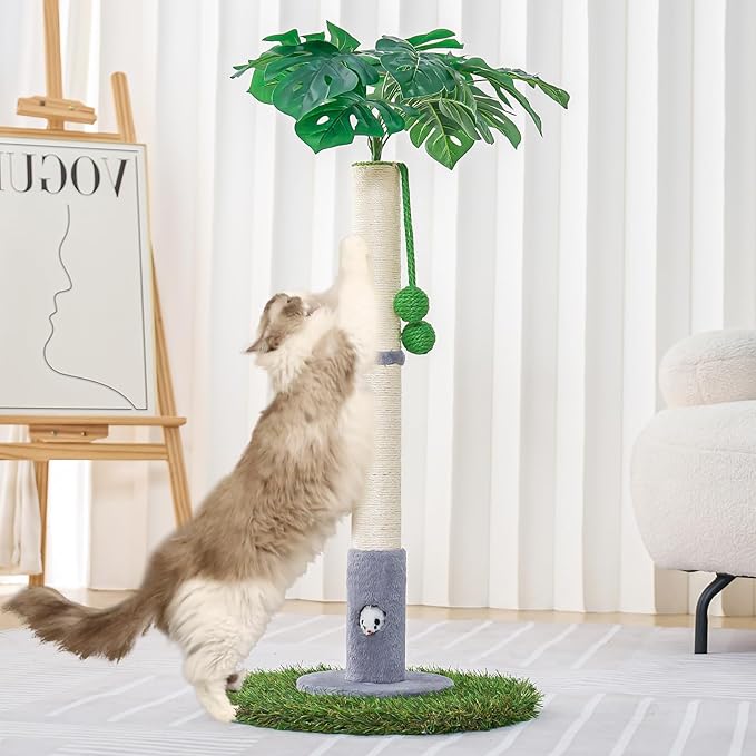 Cat Scratching Posts for All Cats with Hanging Ball and Sisal Rope Cat Toy, Simple Design - for Larger Cats - 35.43" Tall,Wooden Palm Tree Premium Basics Cat Toys Kitten(Grey