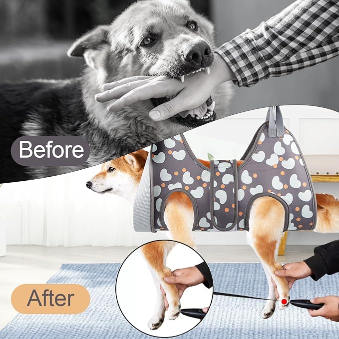 Dog Grooming Hammock Harness for Medium Dogs Nail Trimming, Dog Sling for Cutting Nails, Dog Hanging Holder Hanger for Clipping Nails with Nail Clippers, Nail File