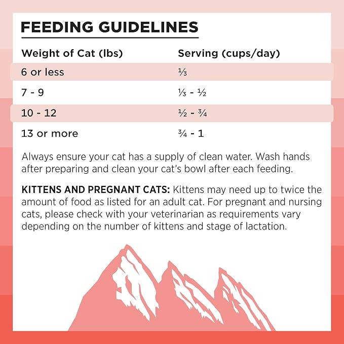 BIXBI Rawbble Dry Food Salmon Recipe for Cats, 3lb