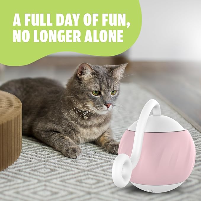 Auto Rolling Cat Ball Toy - Interactive Self Moving Automatic Cat Toy with Tail Feather Attachments - Slow & Fast Speed, LED Rainbow Lights, Sound & Touch Activated - USB-C Rechargeable