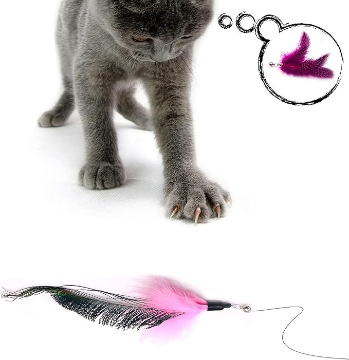 12pcs Pink Cat Feather Toys Replacement Set with Bells for Girl Refills for Wand Kitten Interactive Toys Training Indoor Playing Birthday Gift for Chasing Jumping Exercise Refill Wand Toys