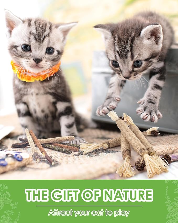 TINDTOP Silvervine Sticks, 10 Pack Natural Catnip Chew Toys for Kittens Teeth Cleaning, Increase Appetite, Calm Anxiety and Stress, Aggressive Chewers Toy