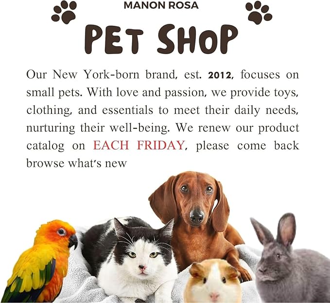 MANON ROSA Cat Toys for Indoor Cats Interactive Enrichment Cute Rabbit Watch Toys for Small Medium Large Bored Adult Cats Dogs Small Animals