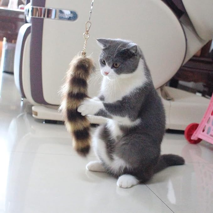 Fosrion Real Raccoon Tail Fur Cat Bites Toy with Three Section Retractable Carbon Fiber Rod (Raccoon, Only Tail)