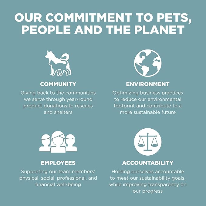 Go! Solutions Digestion + Gut Health, Dry Cat Food, Chicken Recipe with Ancient Grains, 12 lb Bag